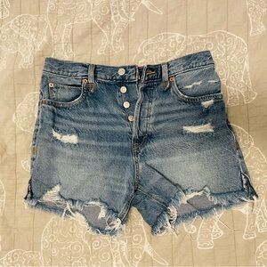 We the Free by Free People shorts
